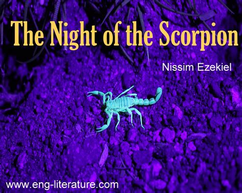  Night of the Scorpion: En Berättelse om Ödets Makter och den Mänskliga Andens Motståndskraft