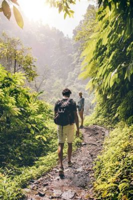 Vem Väntar På Skörden? En Utforskning av Thailändskt Jordbruk och Traditionell Visdom